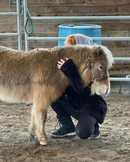 A young person is kneeling and hugging a miniature horse.